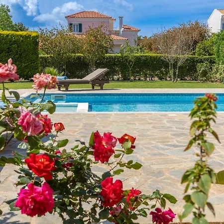 Villa Eglina Magnolia Minia
